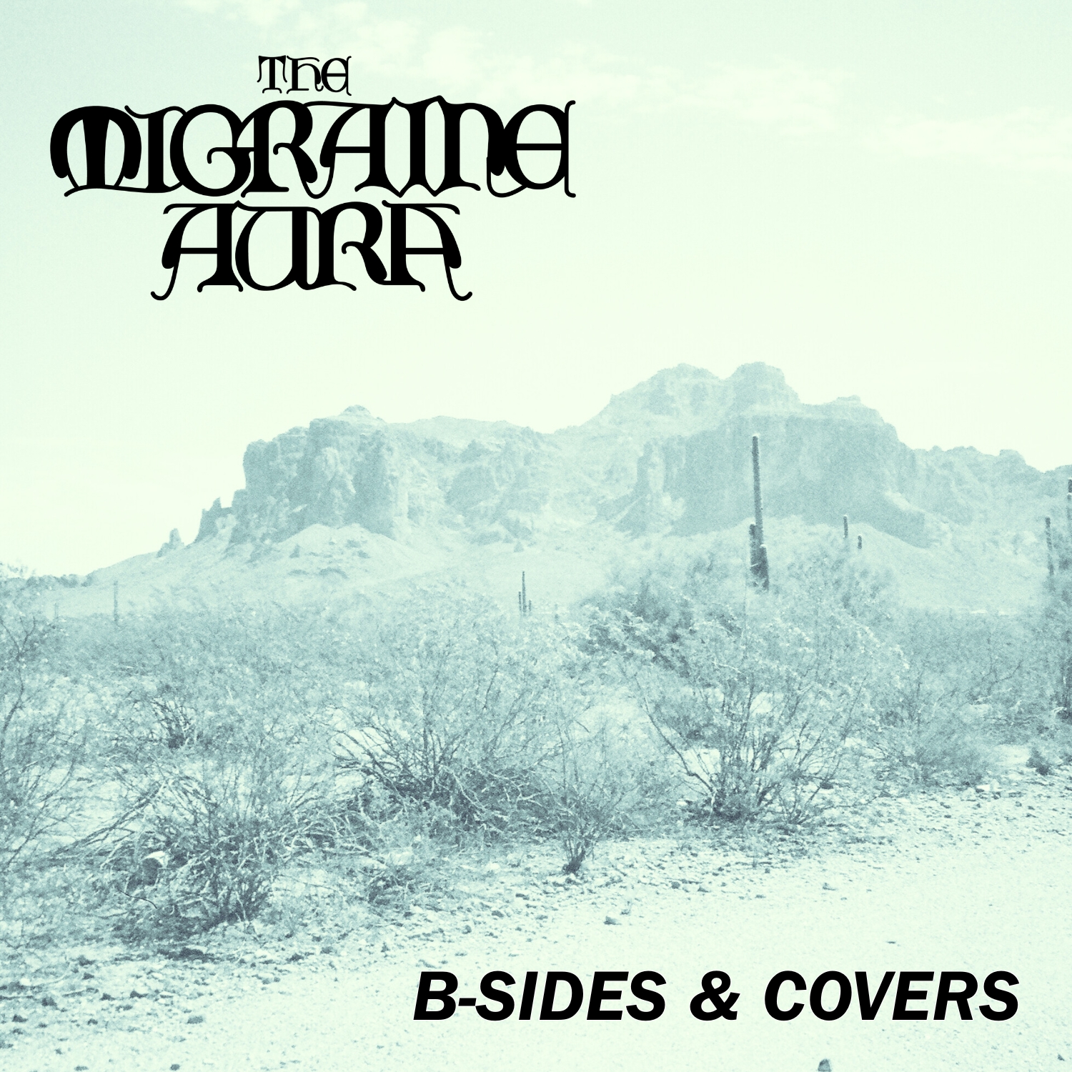 B-Sides & Covers cover